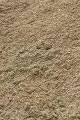 arena-sand